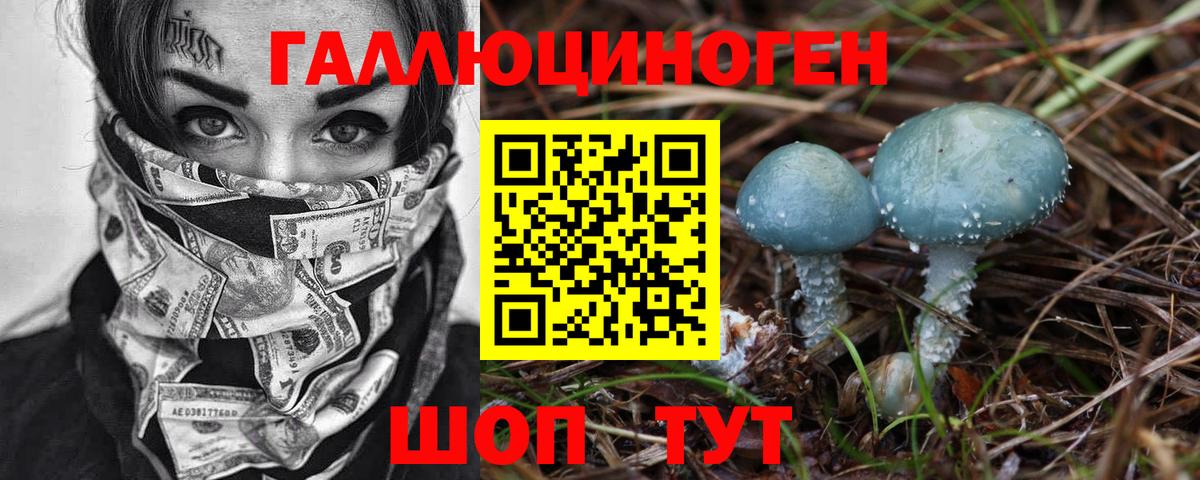 Тольятти  Галлюциногенные грибы Cubensis  Вход с VPN 